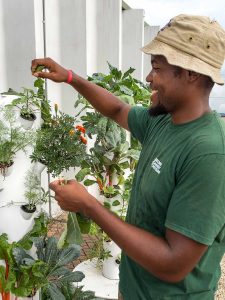 Geordan Lightfoot Smith / hydroponics / Second Harvest Food Bank